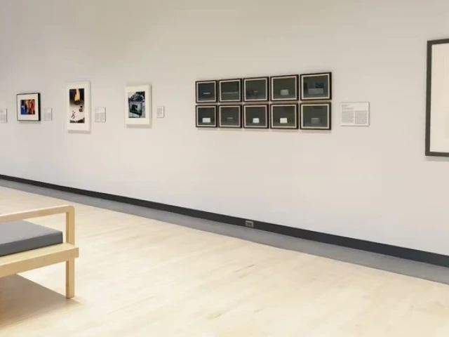 Exhibition gallery view of Funny Business: Photography and Humor at the Phoenix Art Museum. A wooden bench sits in the foreground, with a row of framed photographs displayed along a white wall, including colorful abstract pieces, a grid of smaller blue images, and a large black-and-white photograph of a dog standing on a narrow pedestal.