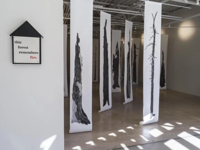 large photographs of trees on white paper standing in a room, mimicking a forest