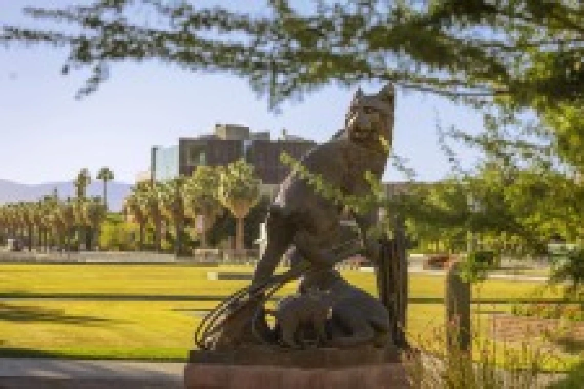 a statue of a bobcat with a field of grass in the background